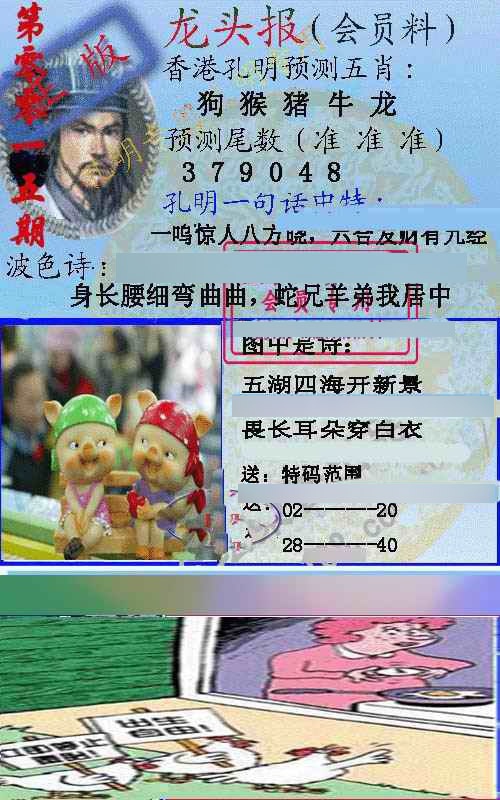 015期龙头报[图]