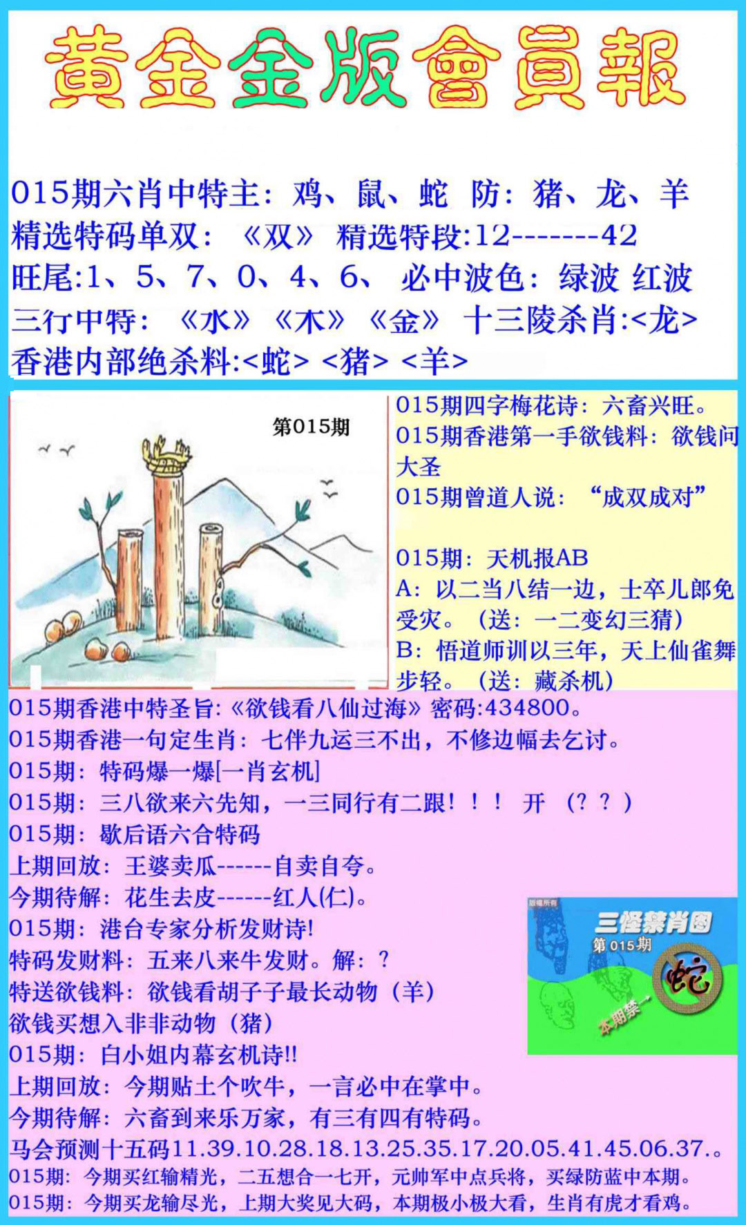 015期黄金金版会员报[图]