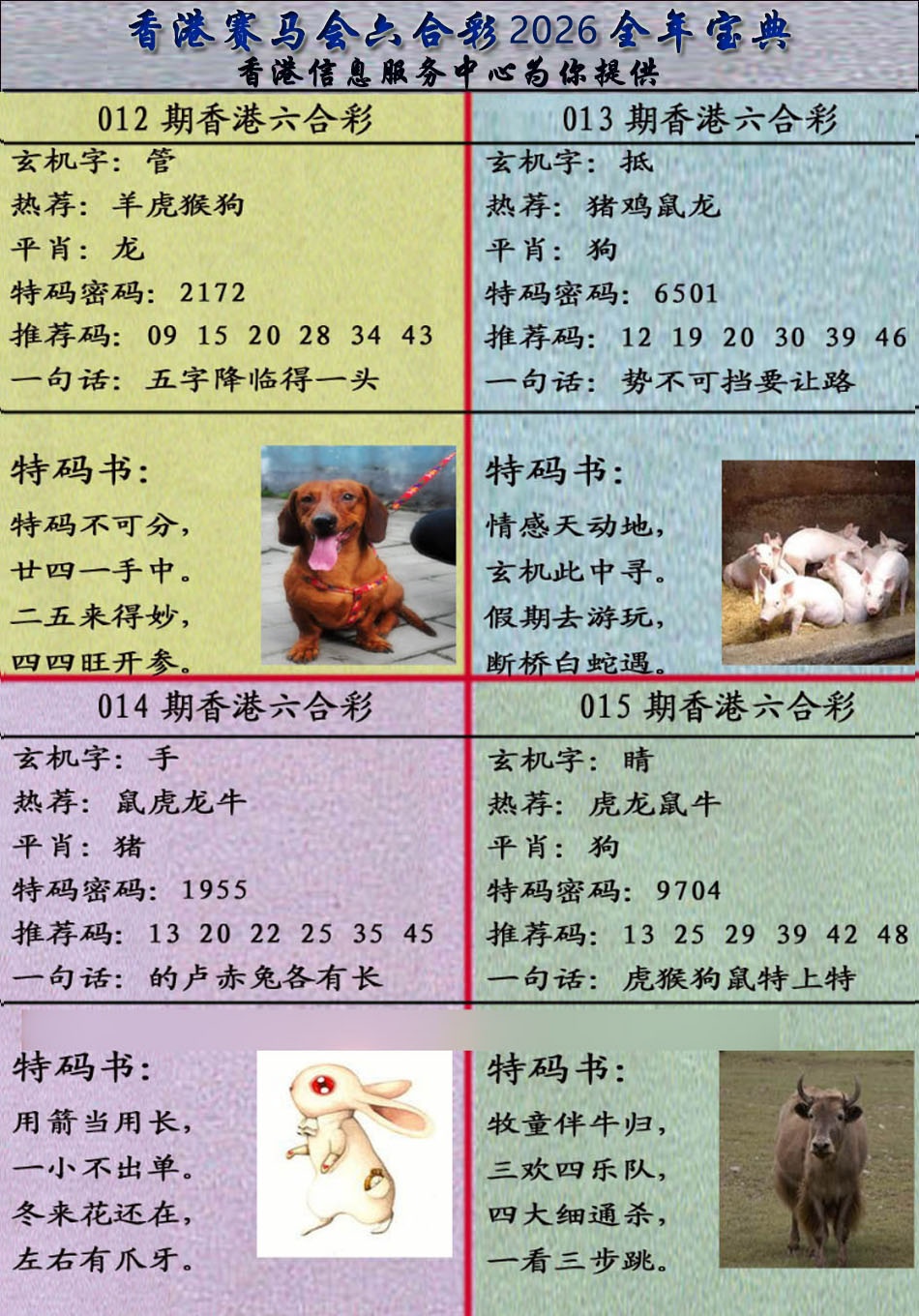 015期宝典报[图]