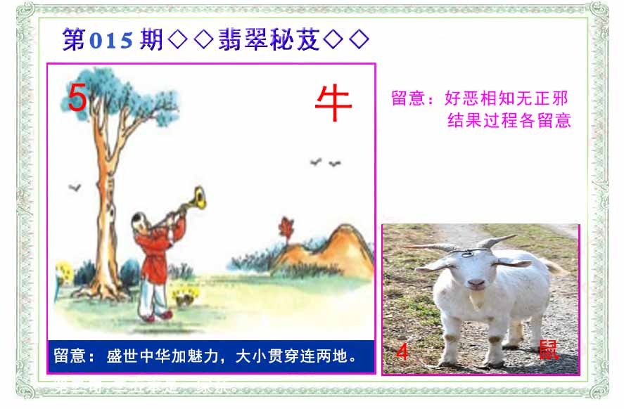 015期翡翠报[图]