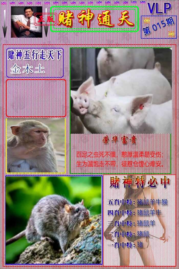 015期赌神通天报[图]