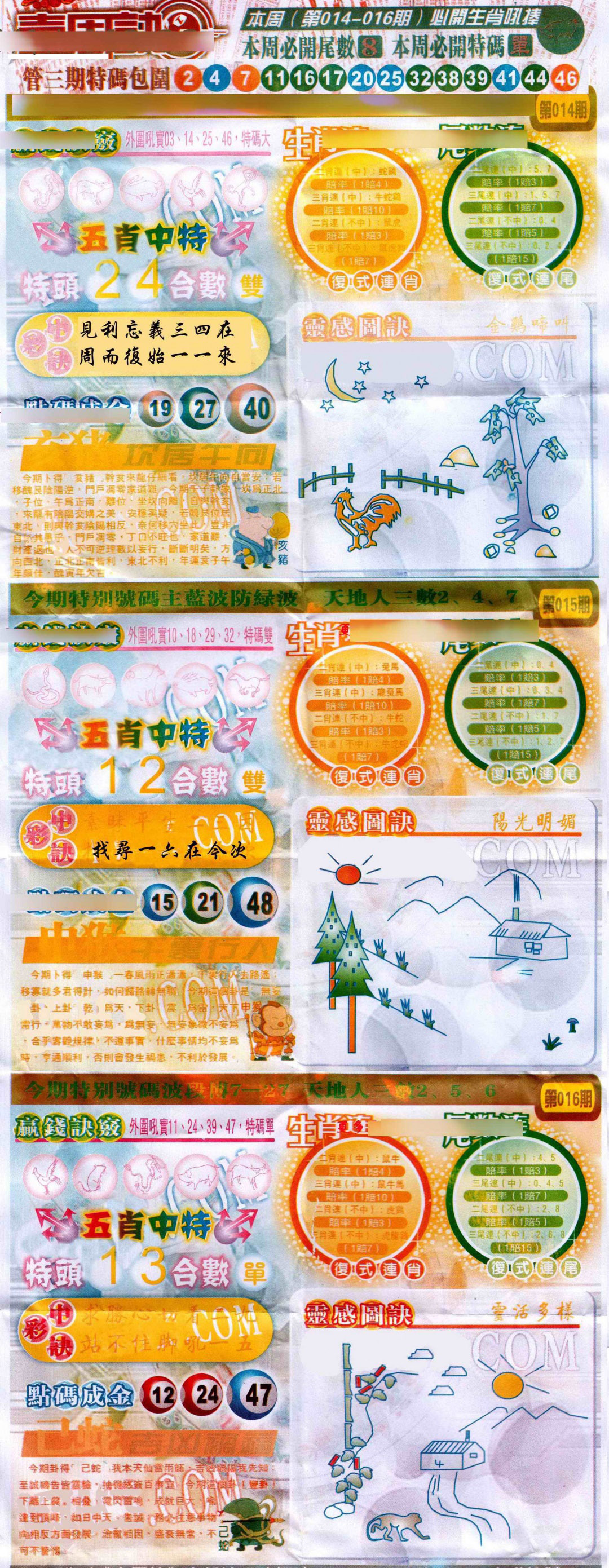 015期一周决[图]